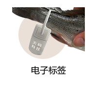 溯源系統(tǒng) (0)