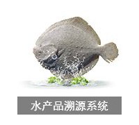 溯源系統(tǒng) (0)