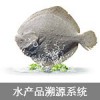 溯源系統(tǒng) 農(nóng)產(chǎn)品溯源系統(tǒng) 水產(chǎn)品溯源系統(tǒng)溯源標(biāo)簽溯源解決方案