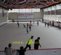 仿真冰場舞臺(tái)價(jià)格合理舞臺(tái)安裝設(shè)計(jì)一體化 (0)