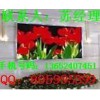 led顯示屏舞臺車、led顯示屏舞臺車廠家、led顯示屏舞臺車價(jià)格