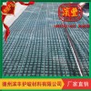 三維護坡植被網(wǎng)墊 護坡新品