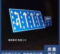公路行車分道指示牌加工生產(chǎn)廠家,懸臂交通標(biāo)志桿 (4)
