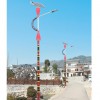 太陽能路燈,YN-1001