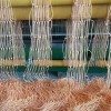 紫菜網(wǎng)